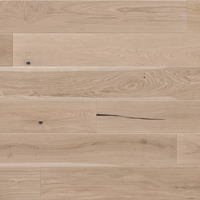 Stejar Tartufo Bianco Grande photo2